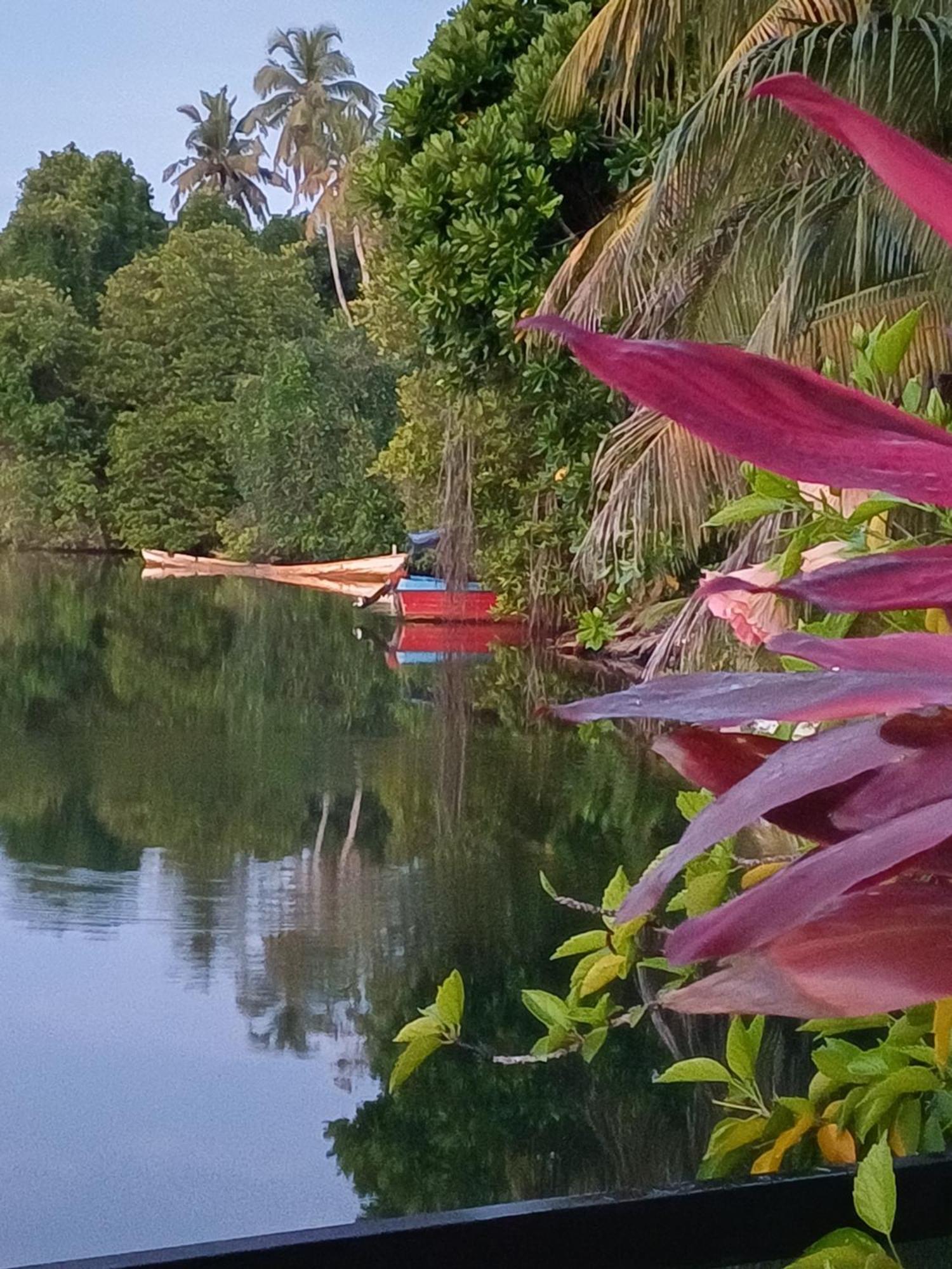 Villa River View Aluthgama Exteriör bild
